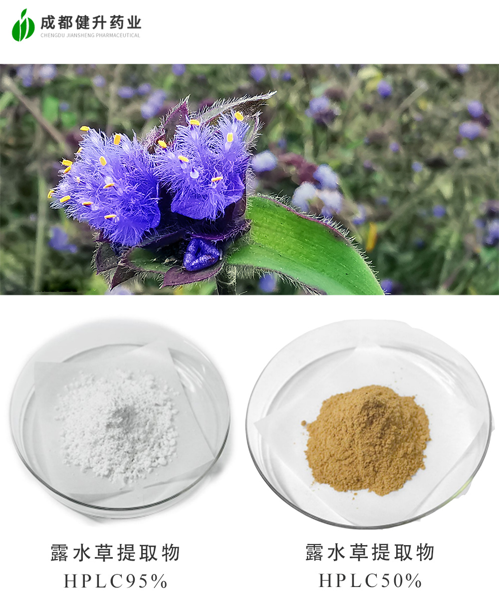 露水草提取物