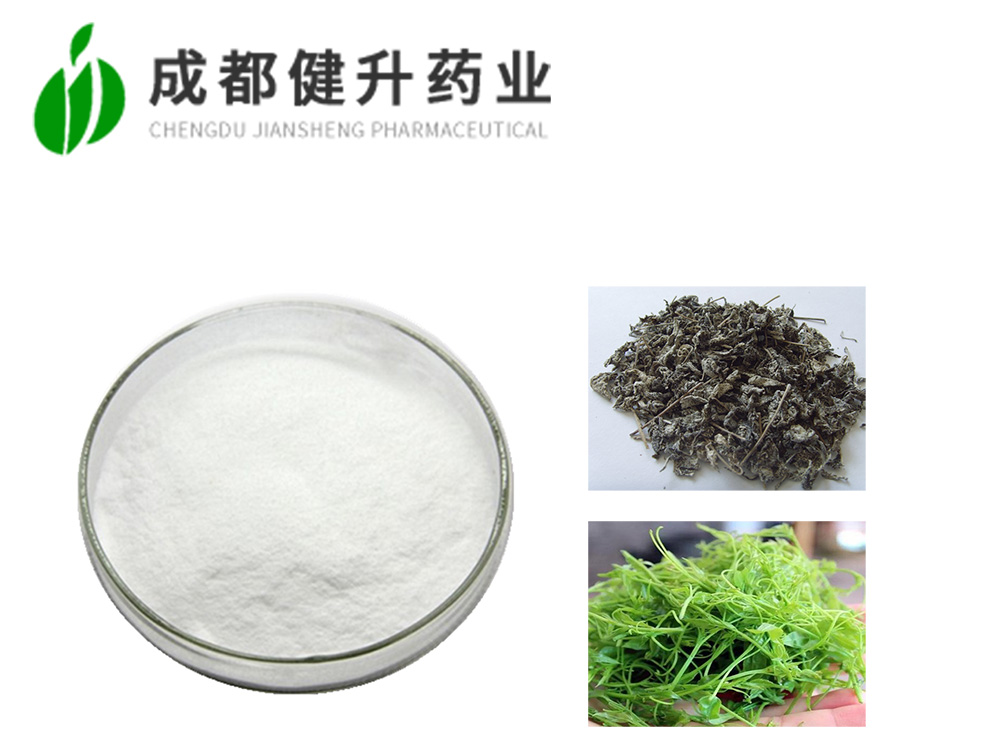 藤茶提取物