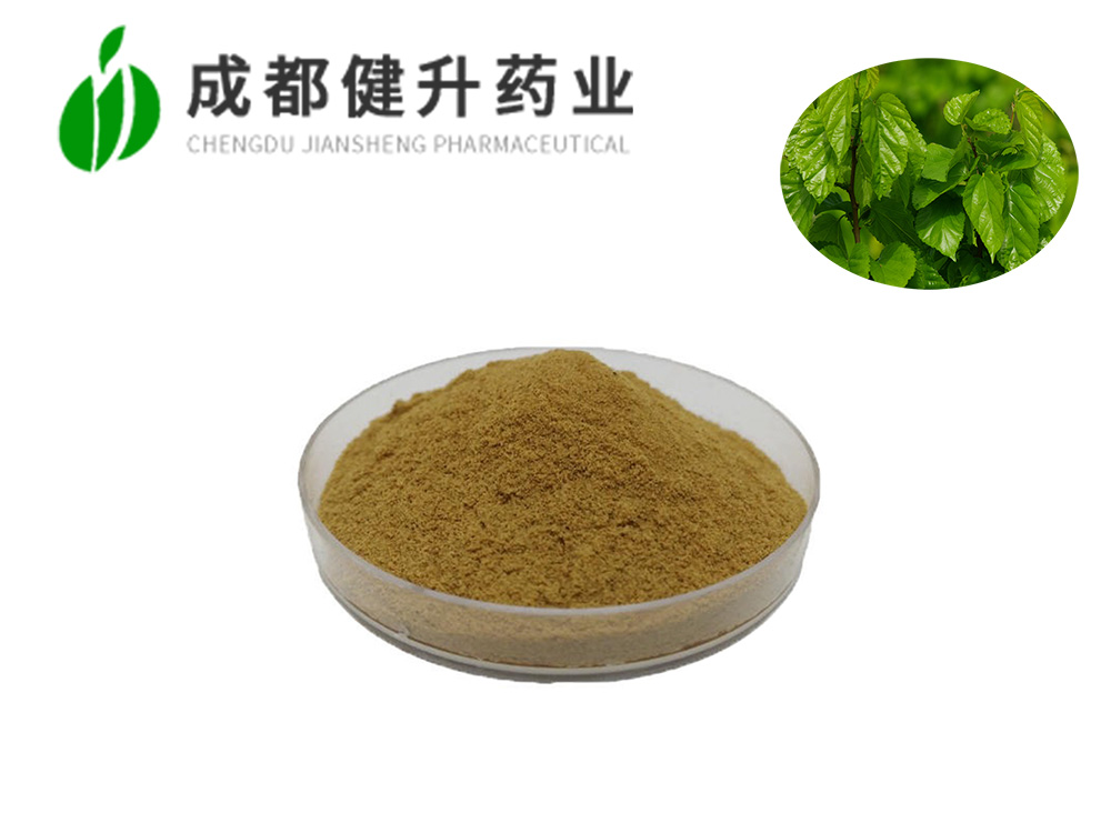桑叶提取物