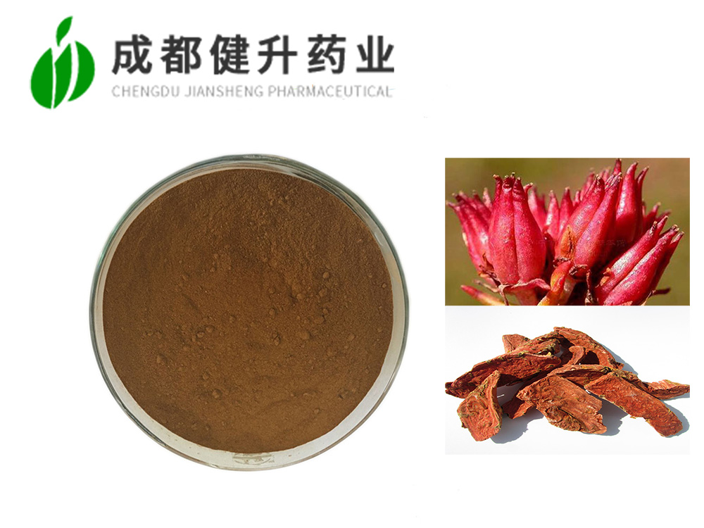红景天提取物