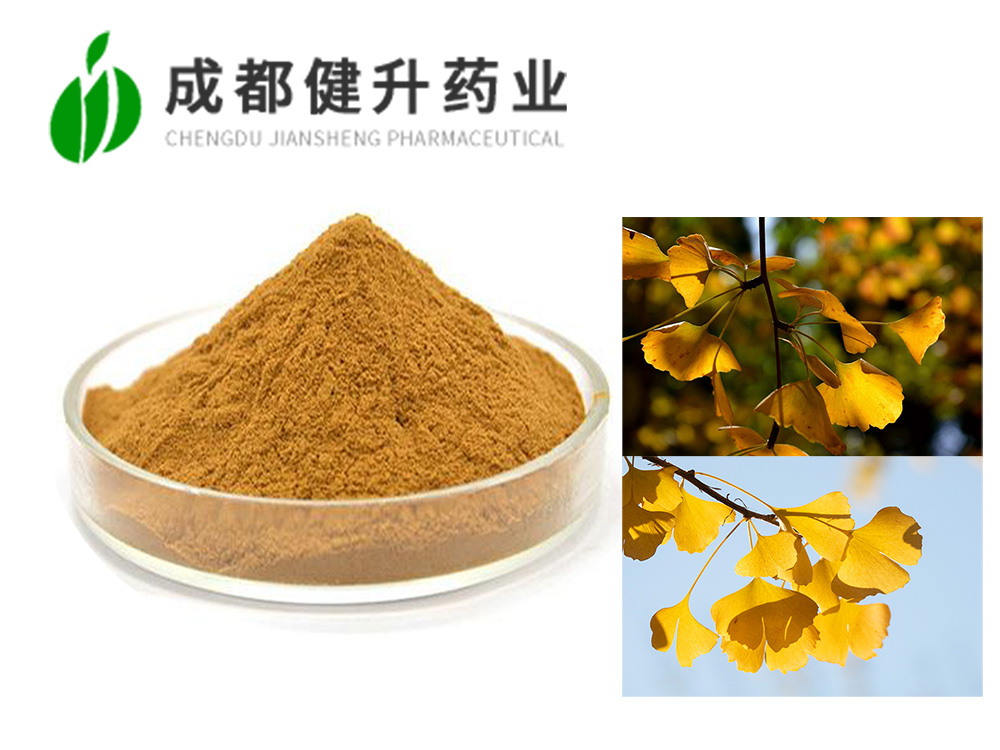 银杏叶提取物