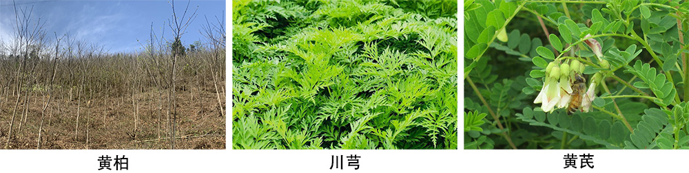 1712822867290486.jpg 未标题-1.jpg