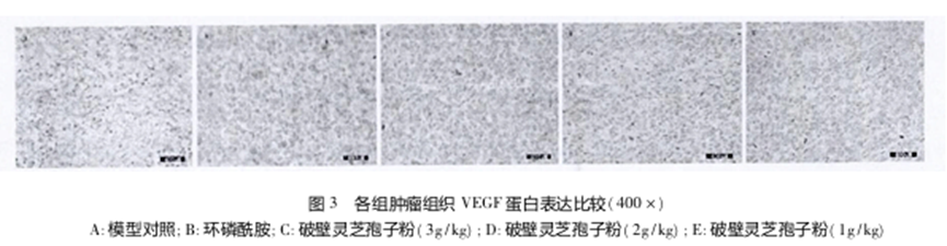 1761268180570890.png 010dea02069a6570de78024acea62ebe.png