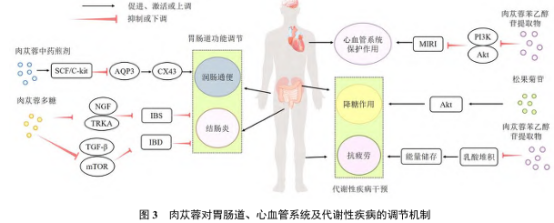 d43736b1b4bdd83e420a8d2efa32355b.png